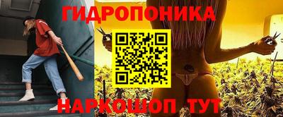 молекула духа Партизанск