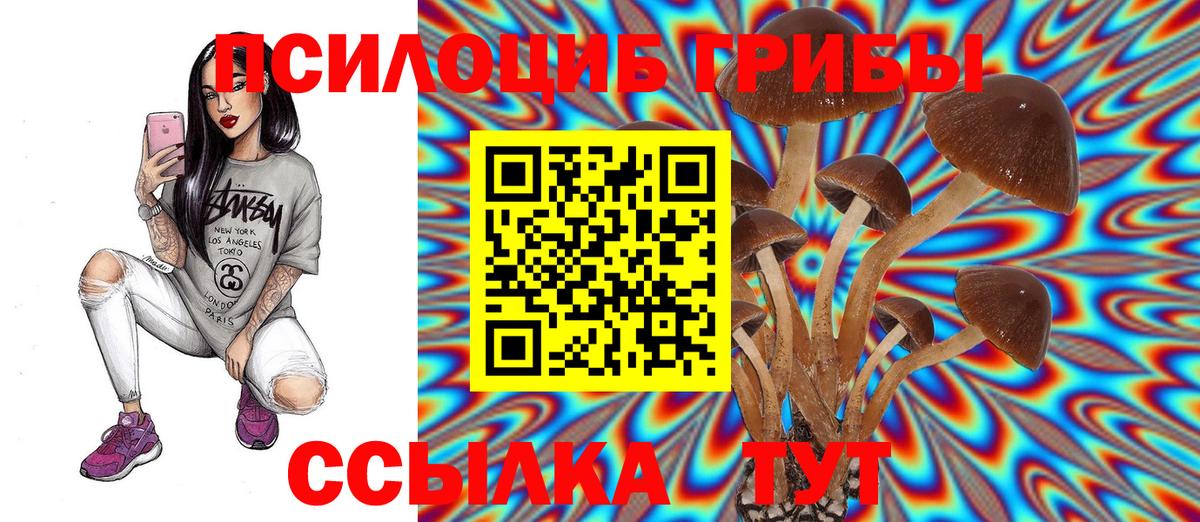 Галлюциногенные грибы Psilocybe  Вход с VPN  Сокол 
